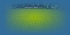 Smart Resin Artificial Grass